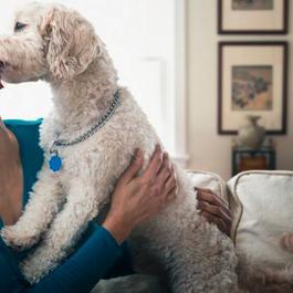 dog licking woman