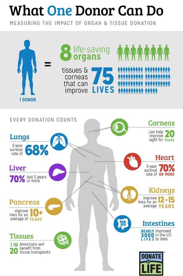 what a donor can do infographic