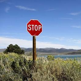 Stop sign along a country road with water in the background.