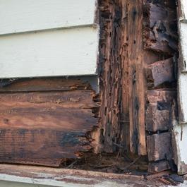 Termite and rot damage to home.
