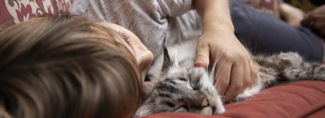 kid on lounge chair with pet