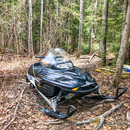 Parked snowmobile in a forest setting