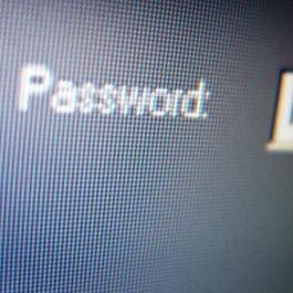 Close-up of computer screen, focused on a password field.