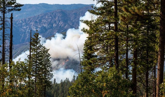 Smoke cloud in mountain forest. 