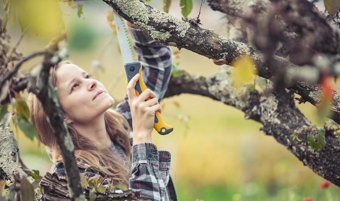 Woman trimming tree branch in yard. 