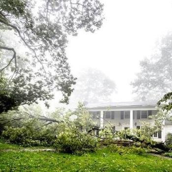 fallen tree outside home after storm