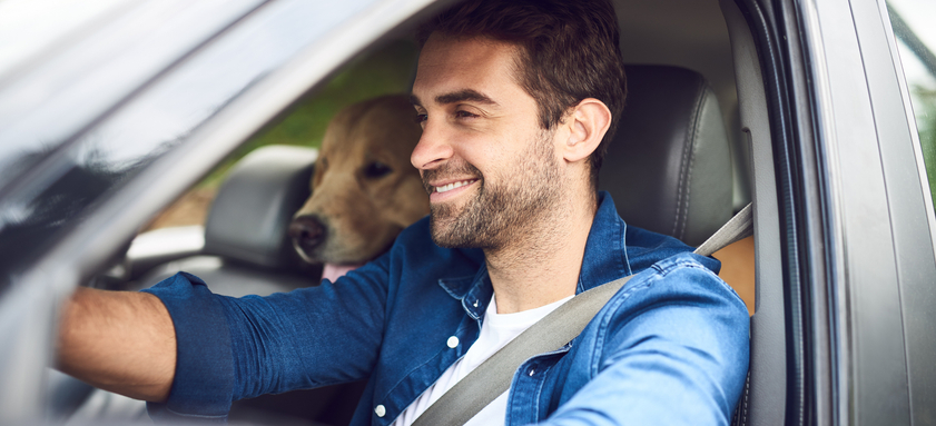 cropped shot of a handsome young man taking a drive with his dog in the backseat.