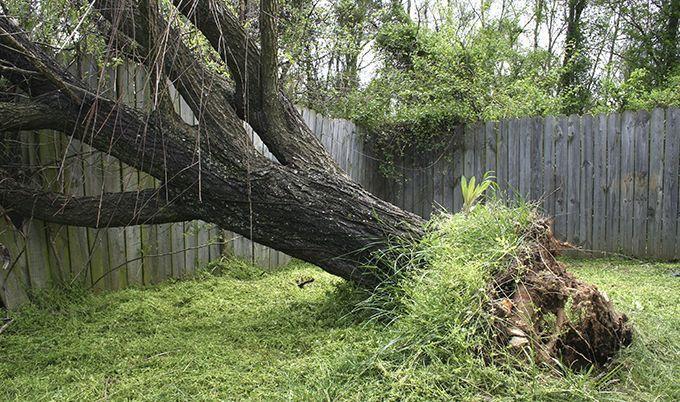 How to Replace a Damaged Fence in Texas