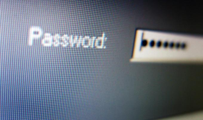 Close-up of computer screen, focused on a password field.