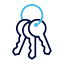 keys icon