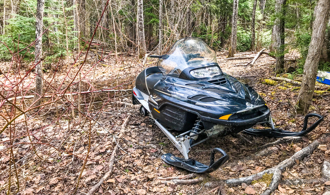 Parked snowmobile in a forest setting